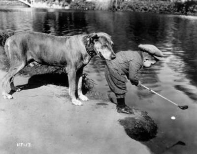 Teddy the Dog holds onto child actor Jackie Lucas 1923 Old Photo
