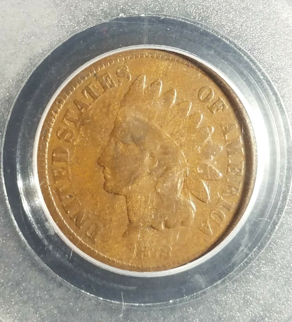 Picture 5 of 11
