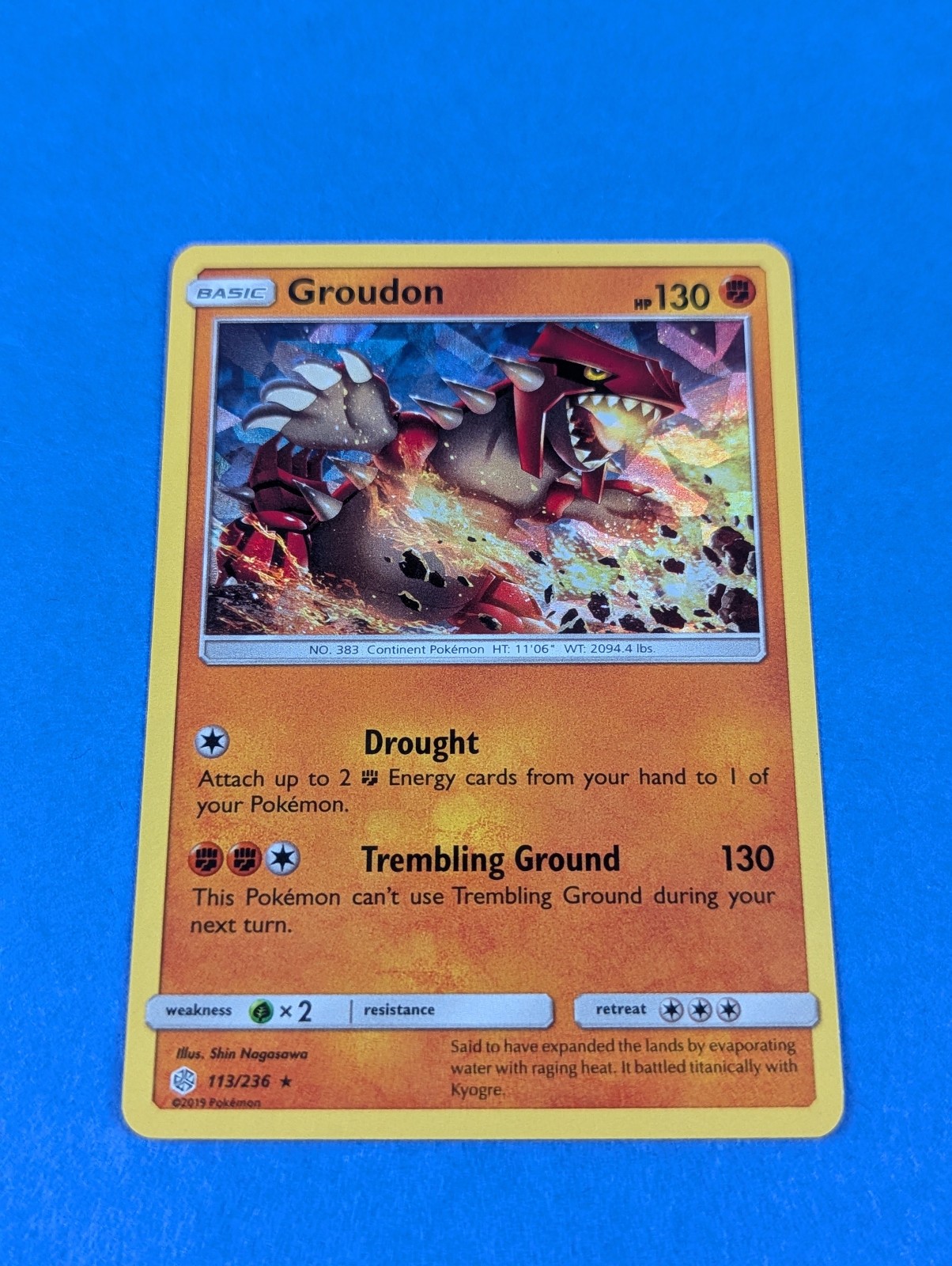 Groudon - 113/236 - Shattered Holo Rare Sun & Moon Promos - Pokemon Card - NM
