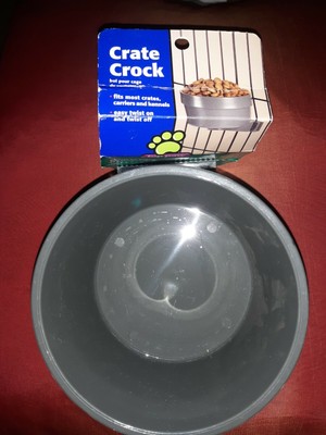 100 dollar dog accessory