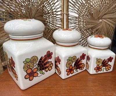 Vintage Taunton Vale Orange Daisy 3 Vorratsgläser groß mittel klein Küchenutensilien