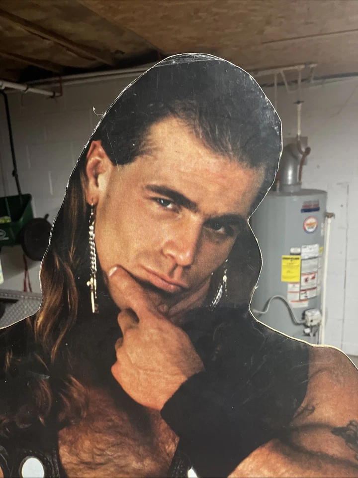 Vintage 1995 WWF Shawn Michaels Heartbreak Kid Life Size Standee Display - Image 2 of 4