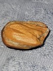 Petite Atypical Orange Jasper Wishing Stone W Thick White Quartz Vein Band  — photo 5