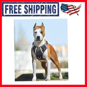 babyltrl dog harness