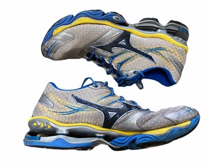 mizuno wave prophecy 11.5