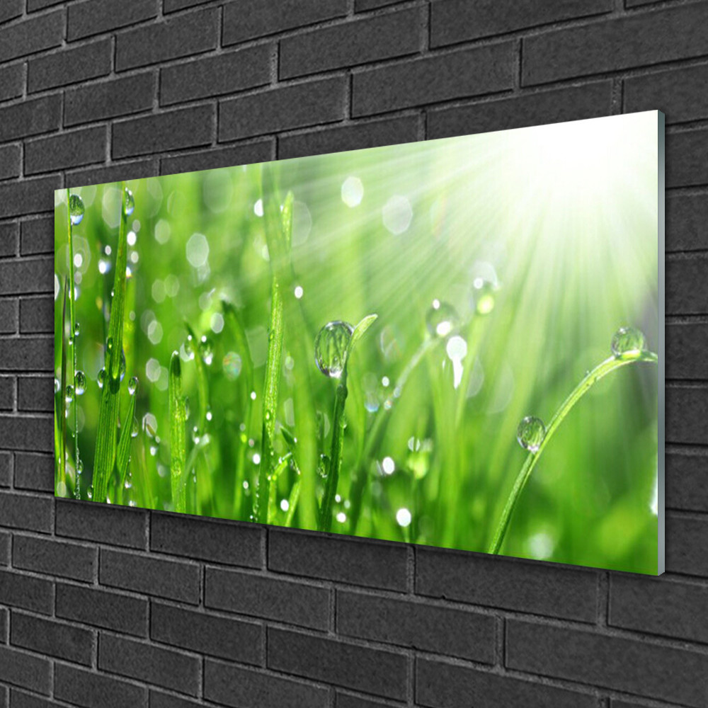 Tableau nature herbe 100x50 cm en verre acrylique pour salon