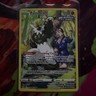 Pokémon TCG Passimian SWSH12: Silver Tempest Trainer Gallery TG08/TG30 Holo NM