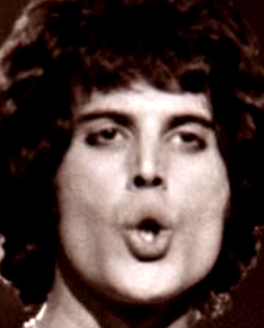 Freddie Mercury - Queen Harlequin -70