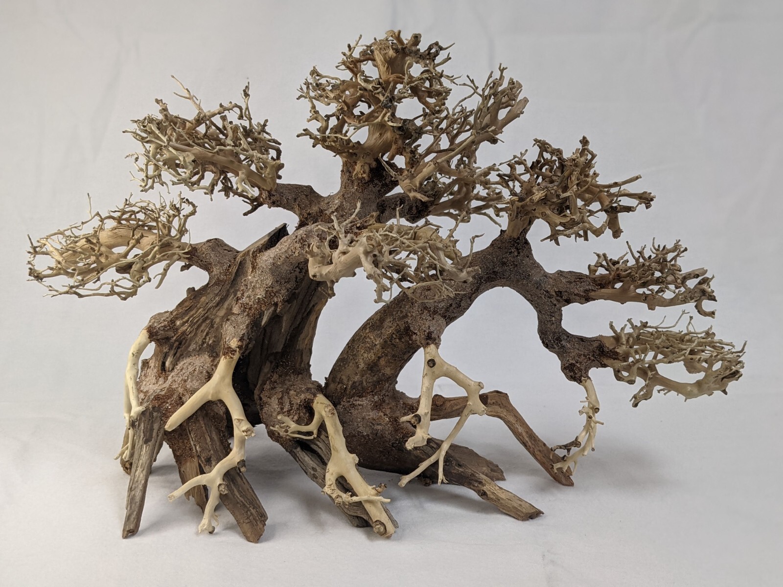 Natural Bonsai Driftwood Aquarium Tree eBay