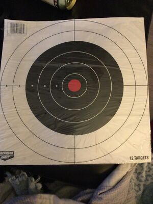 Birchwood Casey-Bull's-Eye Targets - 11 Targets-New