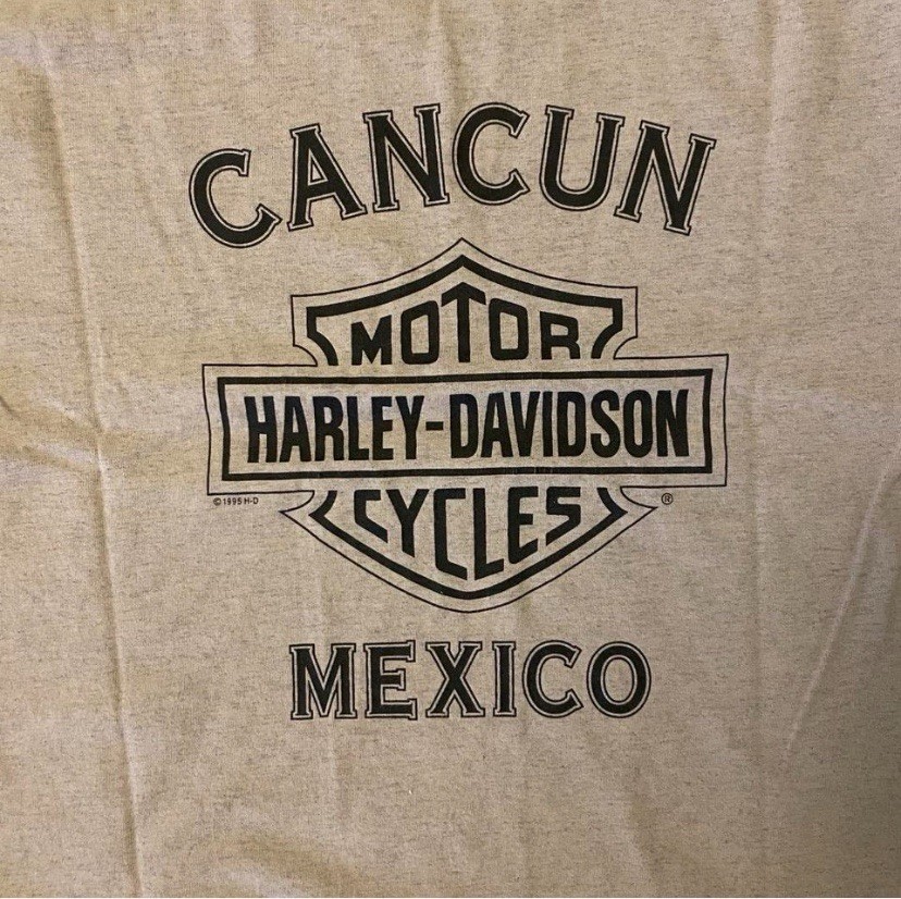 Vintage Harley Davidson Evolution Engine Shirt EV… - image 4