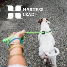 Dog Harness Lead- Escape Resistant, No Pull  Med/Large Sizes