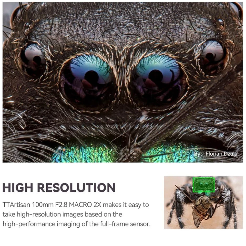 TTArtisan 100mm F2.8 Macro 2x Full Frame Lens for Canon Nikon Sony Fuji L-Mount - Image 3 of 4