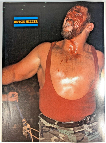 WRESTLING ALL STARS 2/88 Butch Reed STING Rock n Roll Express RIC FLAIR Dusty - Imagen 8 de 8