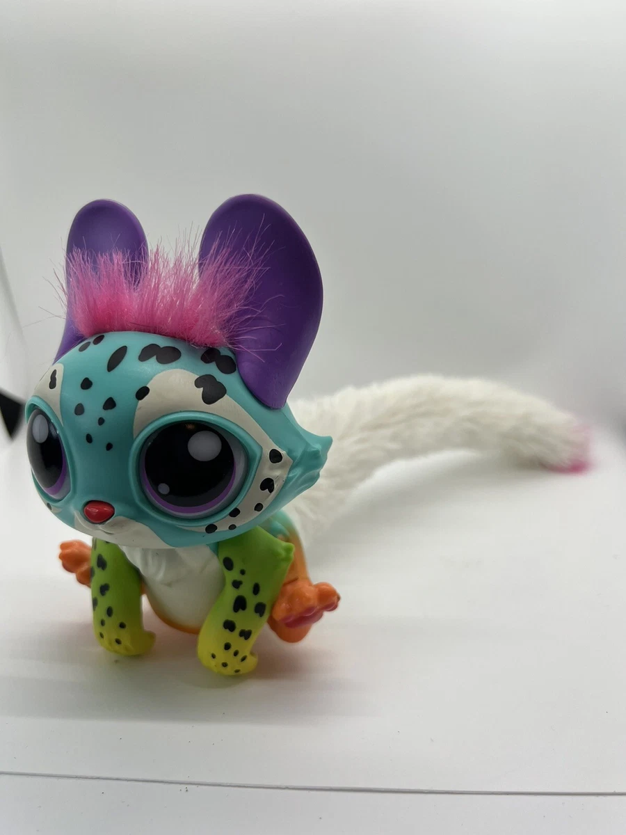 Rainbeam pet hotsell