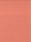 Bild 55 von 73