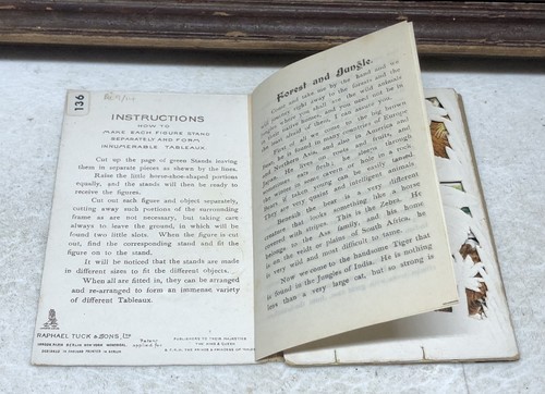 'Forest and Jungle' 'FATHER TUCK'S PANORAMA SERIES BOOK Anitque - Foto 4 di 12