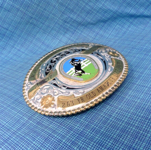NSSHA World Grand Champion 2007 Trophy Belt Buckle IOB Gist Silversmiths .QRT232 - Picture 10 of 17