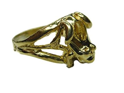 Frosch Ring 14k massiv Gelbgold.