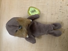 TY Beanie Baby - Jolly - The Walrus - With Tags RARE RETIRED MINT CONDITION 