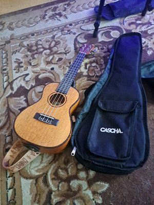 ukulele gebraucht