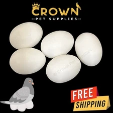 Pigeons FAKE EGGS Plastic For Dove DUMMY Improve Laying Survival Rate Ct 5