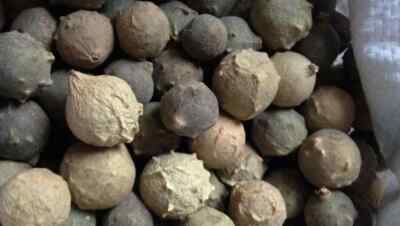 DR T&T Mo Shi Zi /没食子/Quercus Infectoria Oliv/ Oak Gall Dry Herb 100g