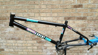 mongoose expert comp