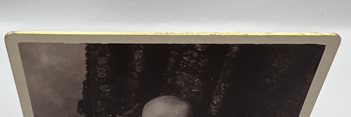 Victorian Antique Cabinet Card Photo Young Child Infant Baby Gold Edge Lace Dres - Picture 4 of 4