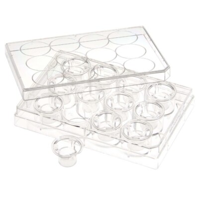CELLTREAT Permeable Cell Culture Inserts, 12 Well Plate,PET,0.1?m, Ster #230620E