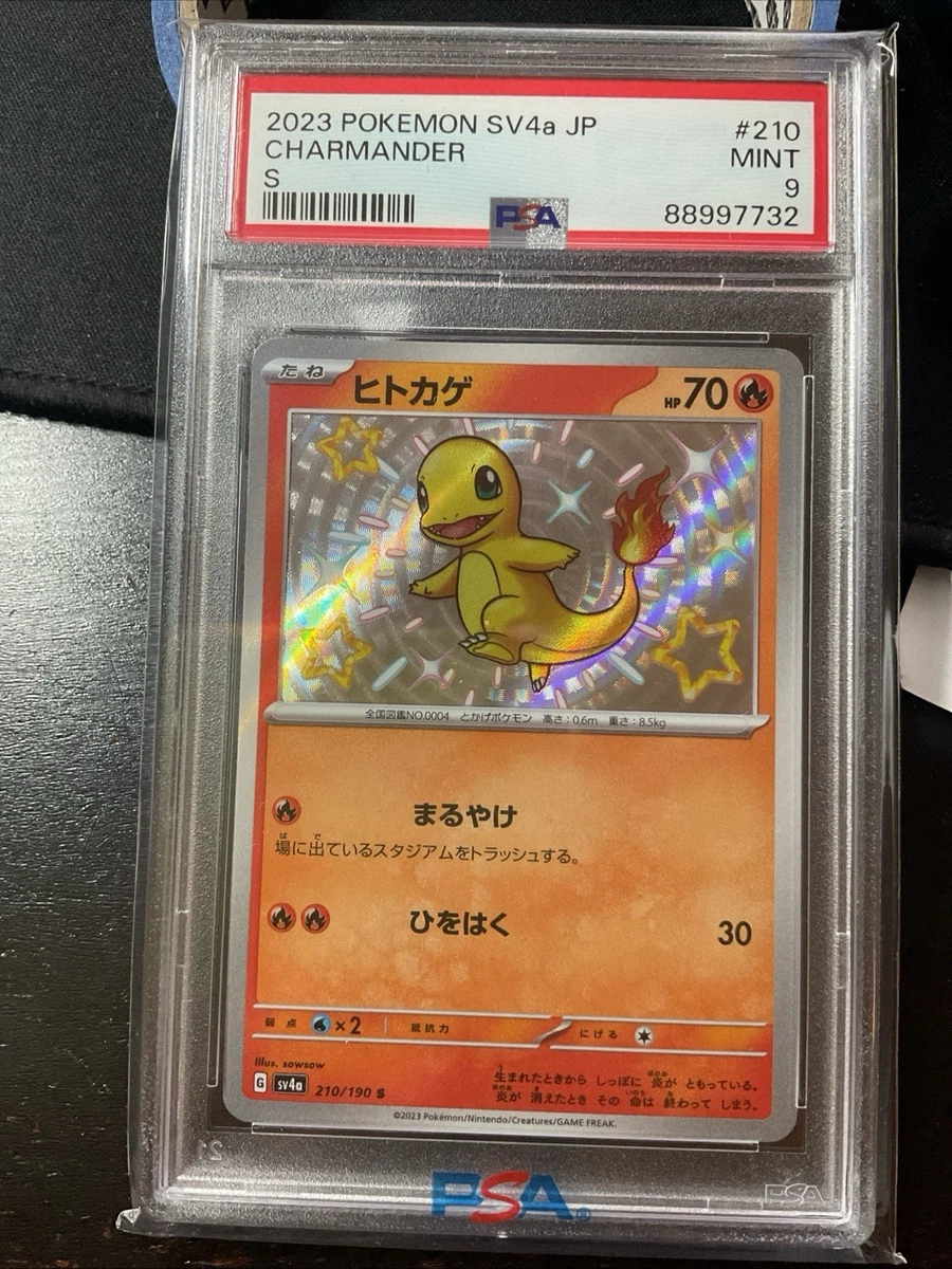 イワンコ S PSA 10 ウルトラシャイニー Pokémon TCG Professional Sports Authenticator (PSA) Individual