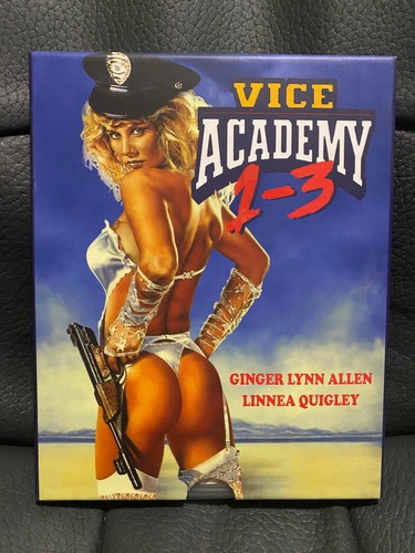 Vice Academy 1-3 (1989-91) NEU VSA Vinegar Syndrom Blu-ray! OOP 1. Version