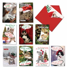 10 Assorted funny Xmas cards w/ 5x7" Envelopes - PetiGreet Cat-Mass