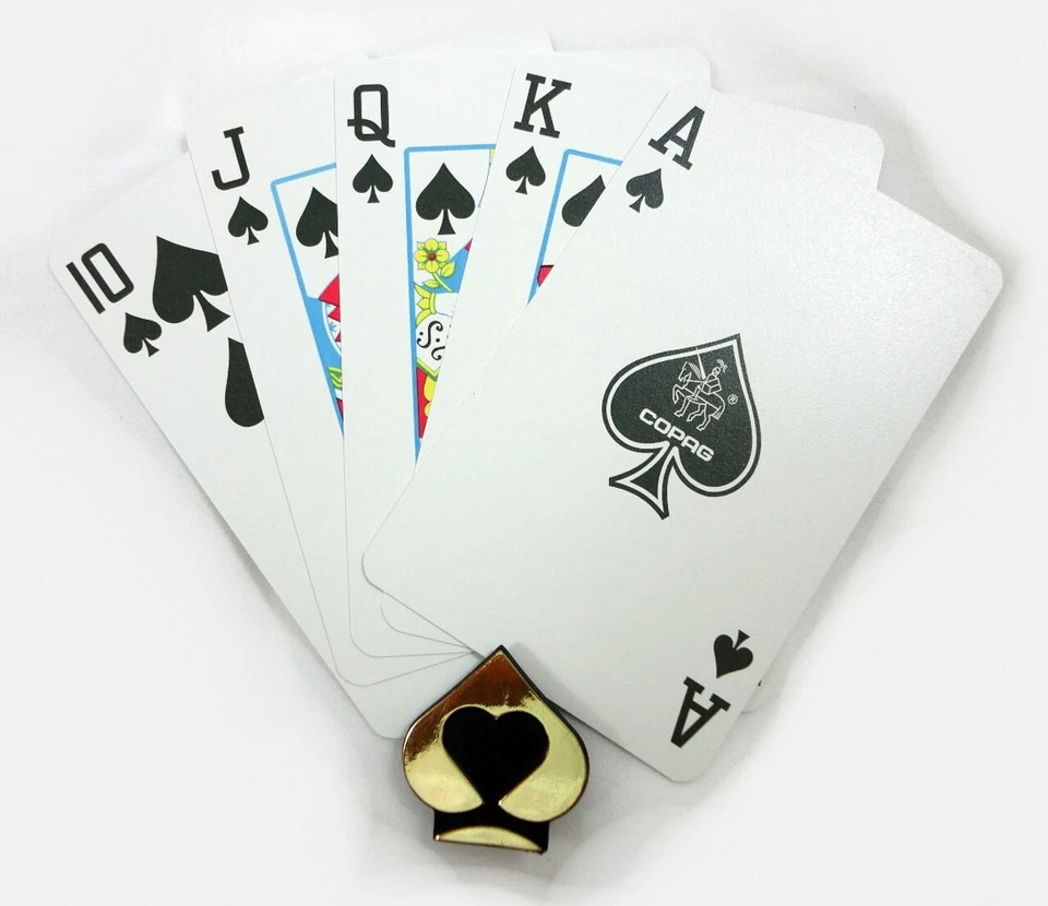 1 CASE COPAG 1546 Red & Blue Regular Bridge Plastic Playing Cards NEW SHIP FREE - Image 3 of 3