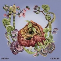 Darko - Canvas Pink And Purple Vinyl - Vinyl Record 12 Inch Record - G3Z