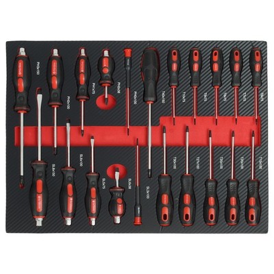 Profi Werkzeugeinlage Schraubendreher Schraubenzieher 21 tlg. magnetisch CRV