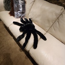 NIP Pottery Barn RARE Sammy The Spider Halloween Faux Fur with Jeweled Eyes 