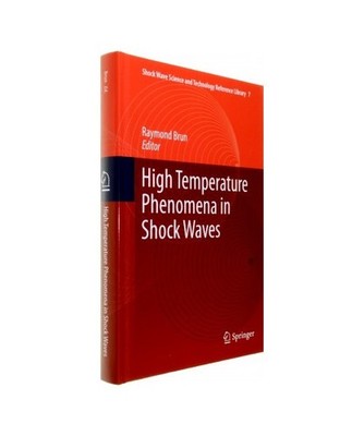 High Temperature Phenomena in Shock Waves