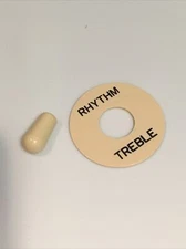 USA Seller Epiphone 3.5m Cream Tip & Switch Plate for Les Paul SG