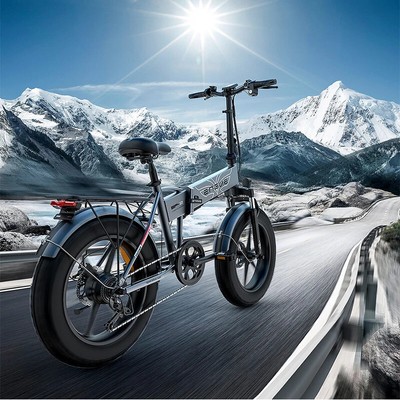 ENGWE EP-2 PRO Elektrofahrrad E-Bike 20 Zoll  Fat Luftreifen 750W 48V Cityräder