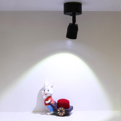 3W COB LED Battery Powered Light Portable Lamp Adjustable Focus Spotlight Switch