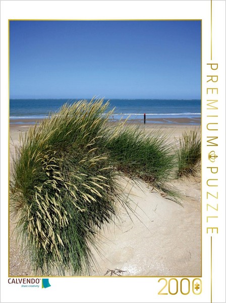 Calvendo Puzzle Strandhafer Im Sommer 2000 Teile Puzzle Hoch | 2000 Teile Lege-G-image