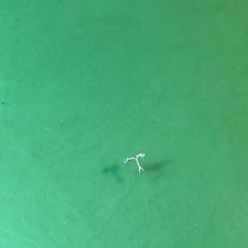 FHF Cal. 60 Pallet Fork Watch Movement Parts / T764