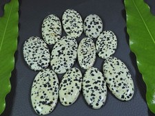 404Cts. Natural Dalmation Jasper Oval Cabochon Loose Gemstone 11 Pcs Lot