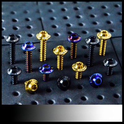 TC4 Titanium Screws Flange Head Self Tapping Screw M4 M5 M6 Titanium Alloy Torx