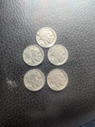 Five 5 Full Date Buffalo Nickels with Five Different Dates!
