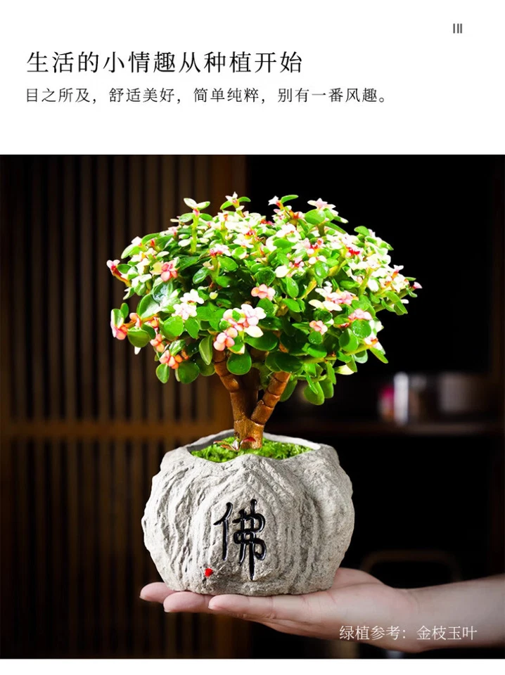 Maceta de cerámica pequeña de piedra de imitación de árbol facai chino de 1 pieza Foto 3 de 4