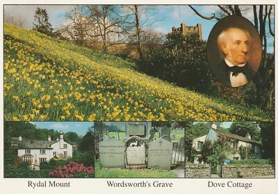RYDAL MOUNT, WORDSWORTH'S GRAVE - DOVE COTTAGE - ENGLAND MULTI-VIEW POSTCARD