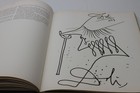 Foto 12 di 24