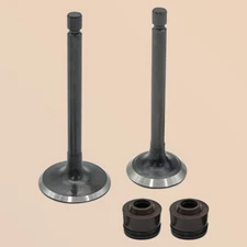 Engine Intake & Exhaust Valves for Yamaha TTR125 TTR125E TTR125EL 2000-2018